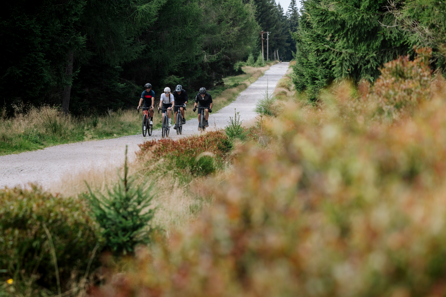 Garmin Bike Festival Dolny Śląsk: enduro i gravel w Szklarskiej Porębie!