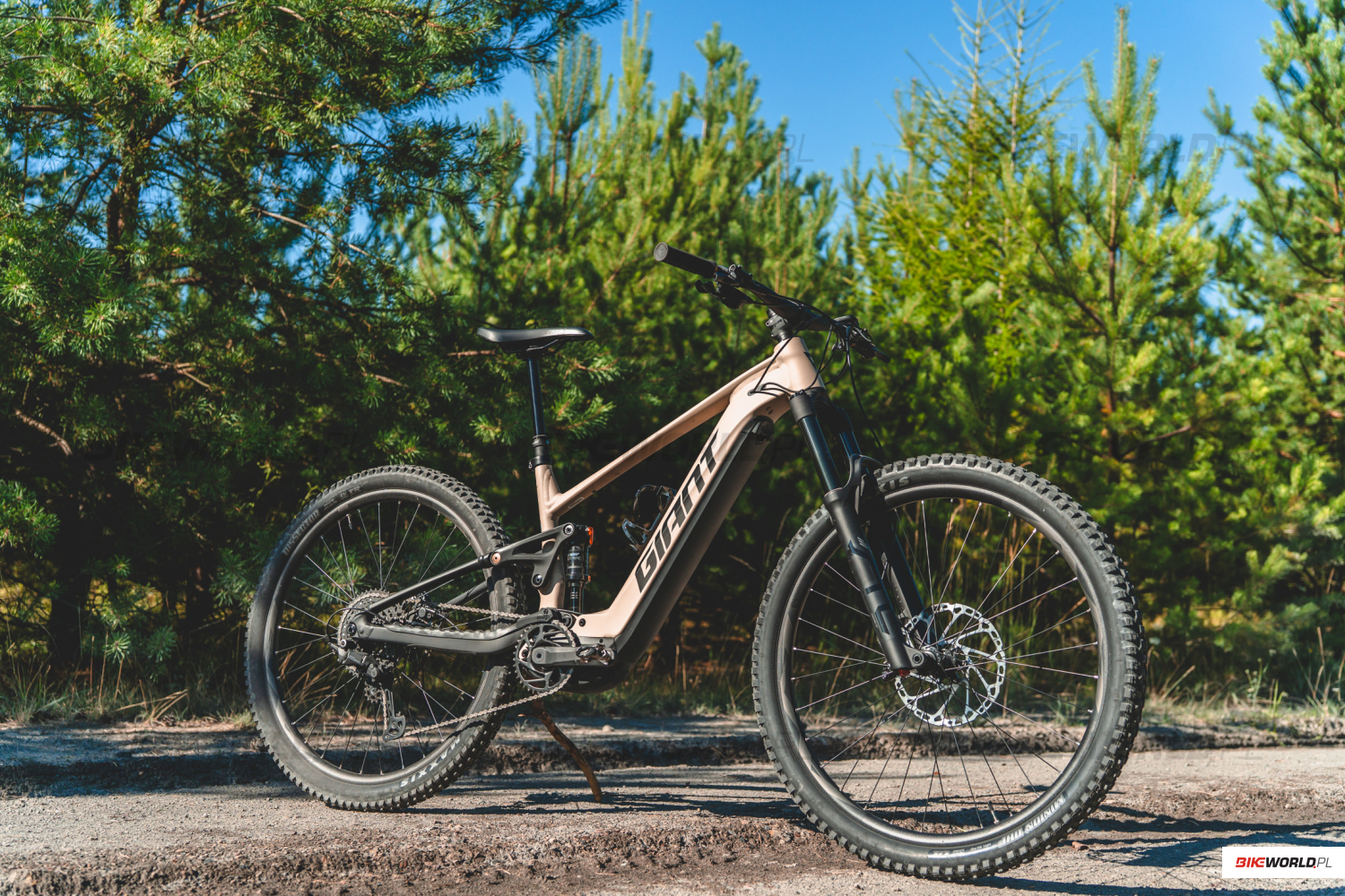 Galeria: Giant Stance E+ 1 (2027)