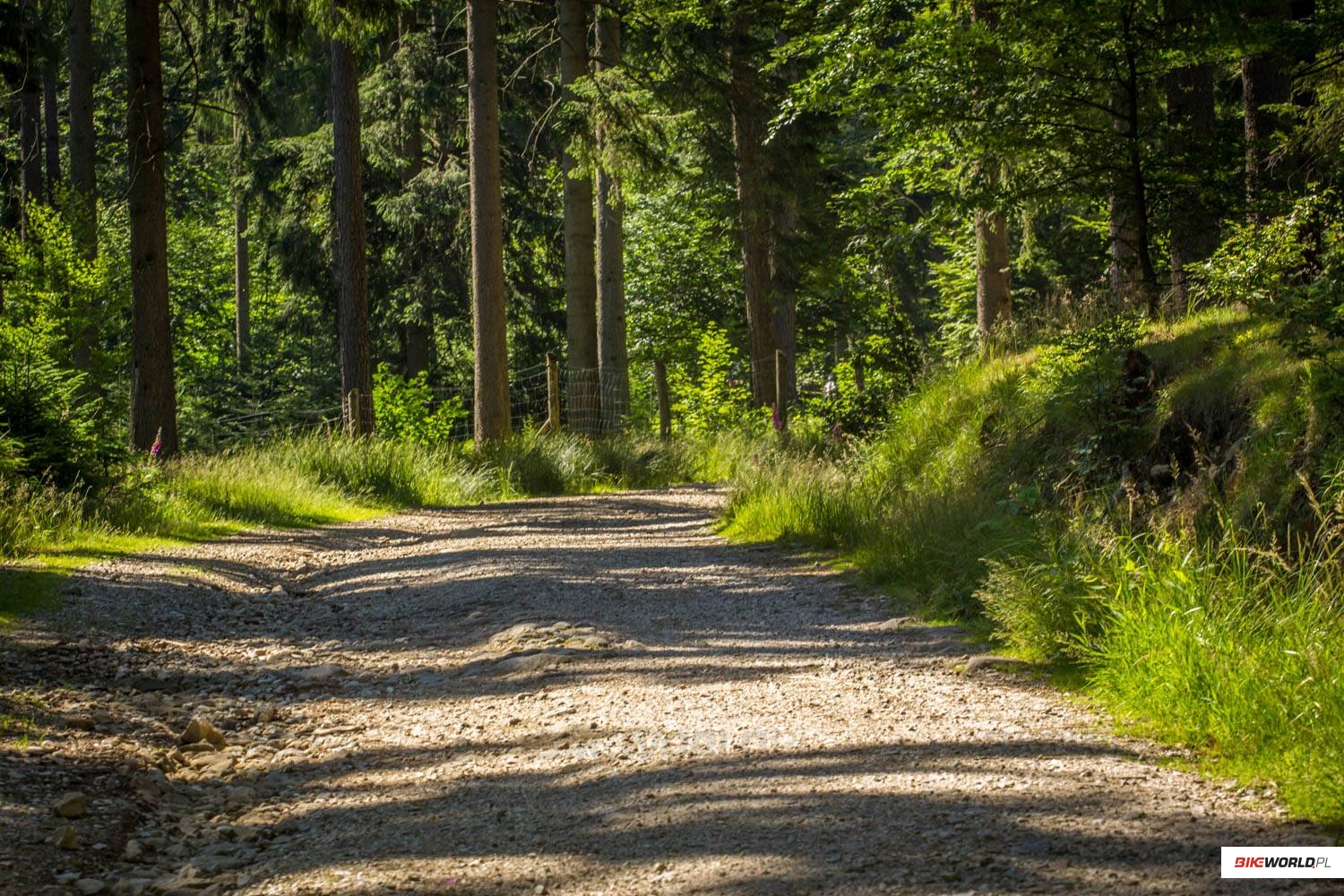 Turystyka: Szklarska Poręba