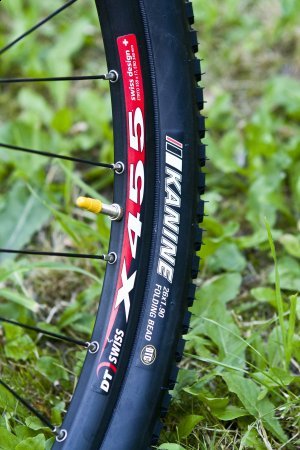 Kenda Kanine to model przeznaczony dla początkujących użytkowników MTB lub jako guma treningowa