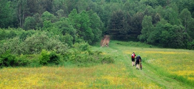 Zdjęcie do artykułu: Cyklokarpaty w Krośnie