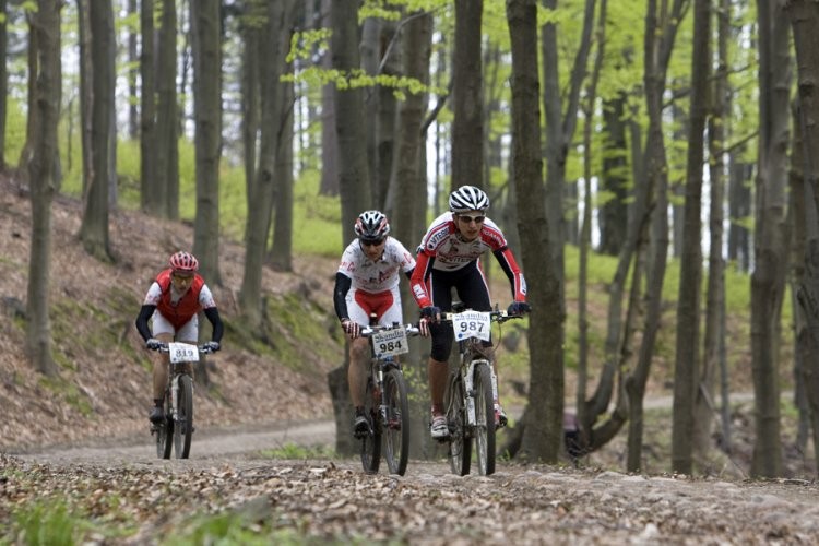 Zdjęcie do artykułu: Skandia w Białowieży - zapowiedź