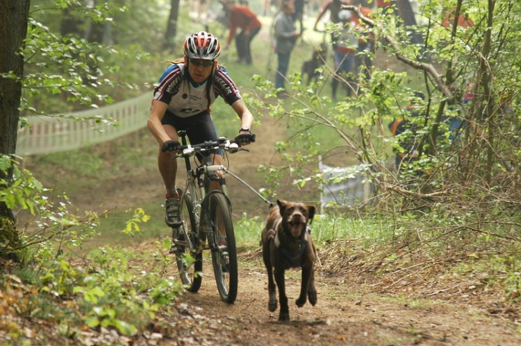 Zdjęcie do artykułu: Hills Cup w Czech