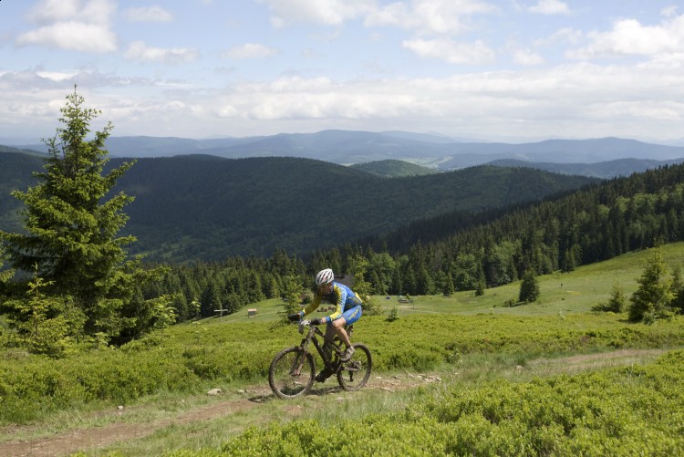 Zdjęcie do artykułu: 4. Beskidy MTB Trophy