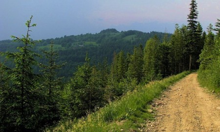 Zdjęcie do artykułu: Mały Szlak Beskidzki