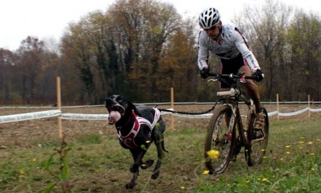 Zdjęcie do artykułu: Igor Tracz Mistrzem Europy w Bikejoringu!