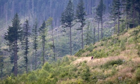 Zdjęcie do artykułu: Finał Carpathia MTB Venture 2011