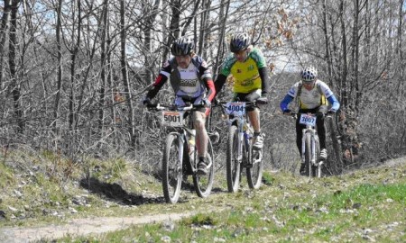 Zdjęcie do artykułu: MTBCrossMaraton w Daleszycach