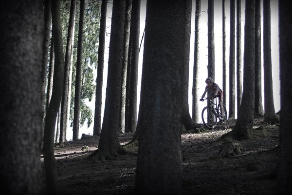 Lapierre, 29er, Full