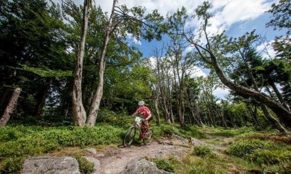 Zdjęcie do artykułu: MTB Challenge: Zwycięstwo Sagera