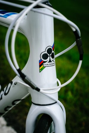 Colnago