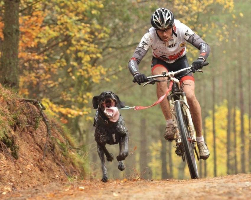 Zdjęcie do artykułu: Tracz Mistrzem Europy w bikejoringu