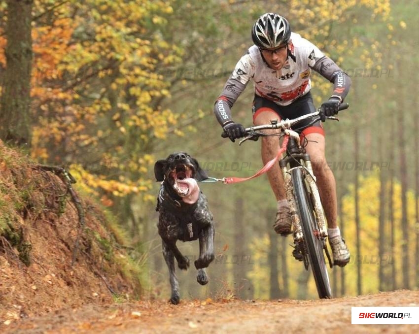 Zdjęcie do artykułu: Polacy mistrzami Europy w bikejorgingu