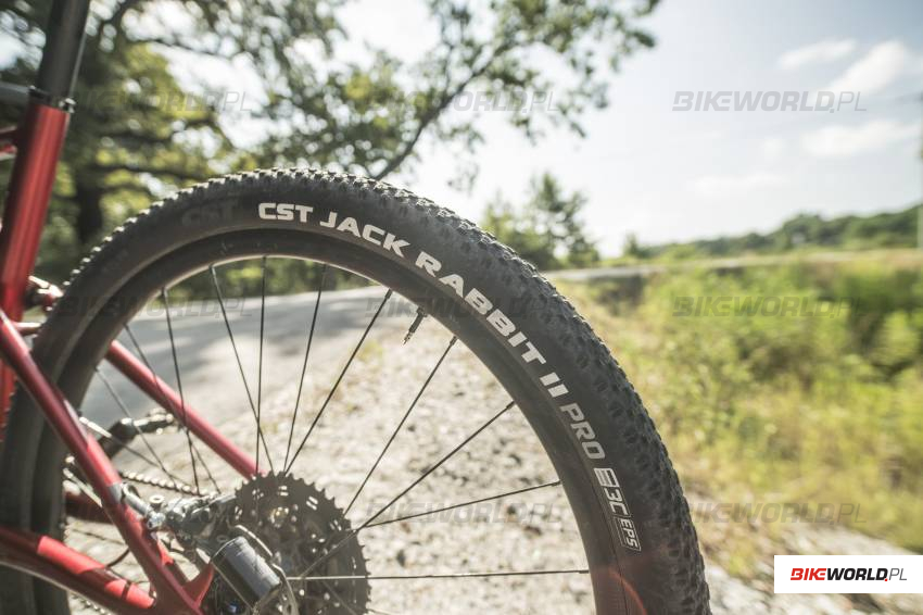 Zdjęcie do artykułu: Test: Opony MTB CST Jack Rabbit II 3C EPS