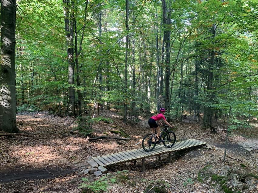 Zdjęcie do artykułu: Jeleniowskie Ścieżki - trasy MTB w środkowej Polsce