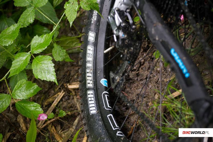 Schwalbe,Giant