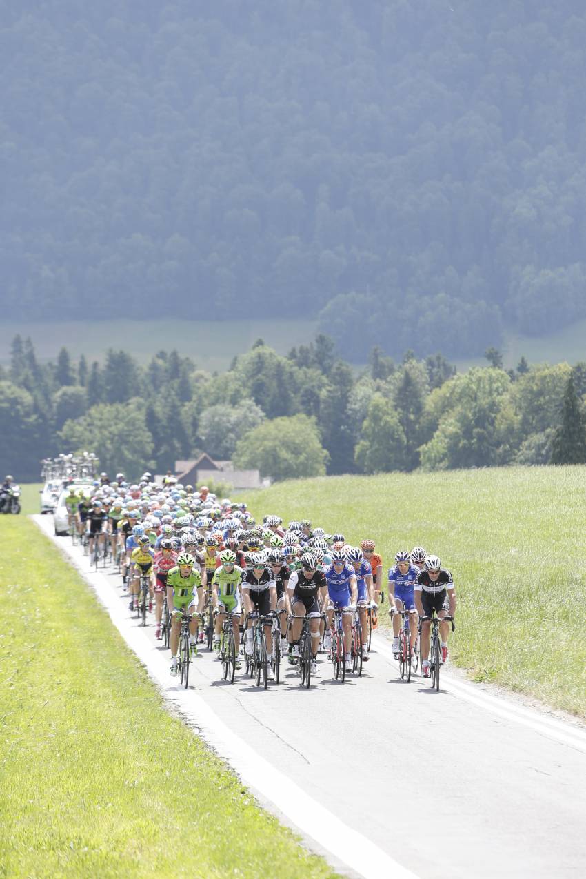 Tour de Suisse,Fabian Cancellara,Trek Factory Racing