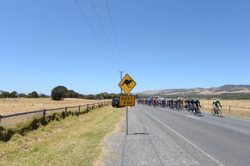 Tour Down Under