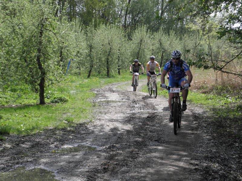 Zdjęcie do artykułu: MTBCross Maraton w Sandomierzu