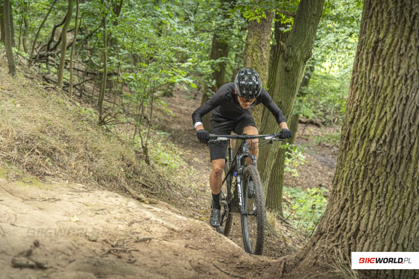 Zdjęcie do artykułu: Wyścigowy rower MTB do 20000 zł (XC / maraton) - jaki wybrać?