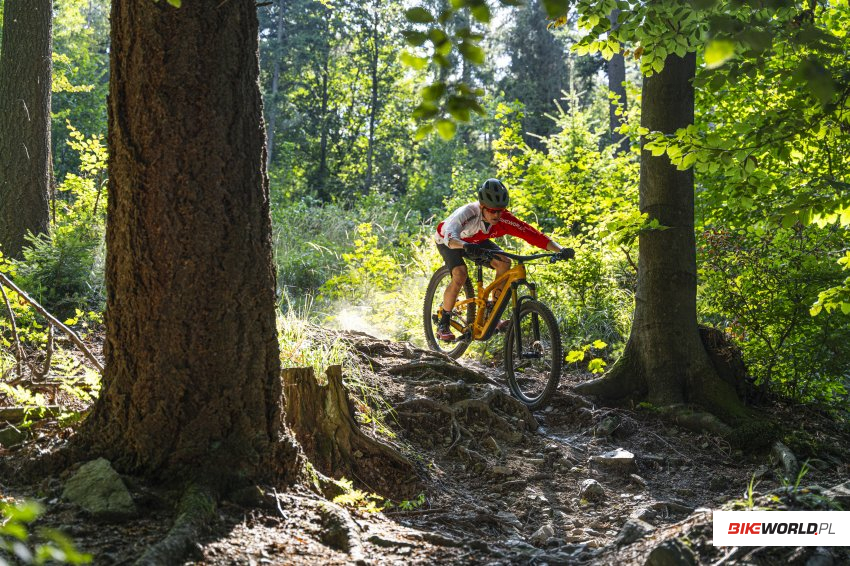 Zdjęcie do artykułu: Jaki rower enduro wybrać?