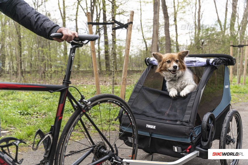 Zdjęcie do artykułu: Test: Rowerowa przyczepka Thule Courier