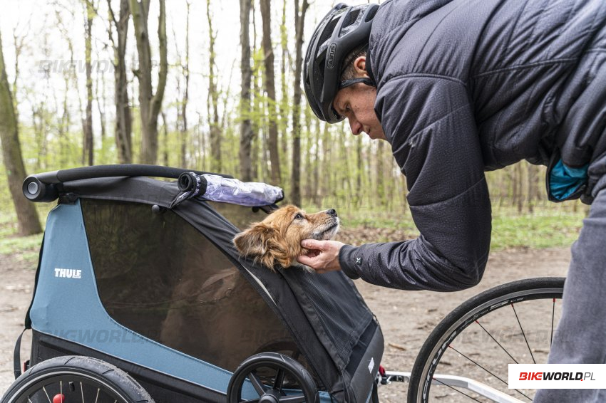 Zdjęcie do artykułu: Jaka przyczepka rowerowa dla psa?