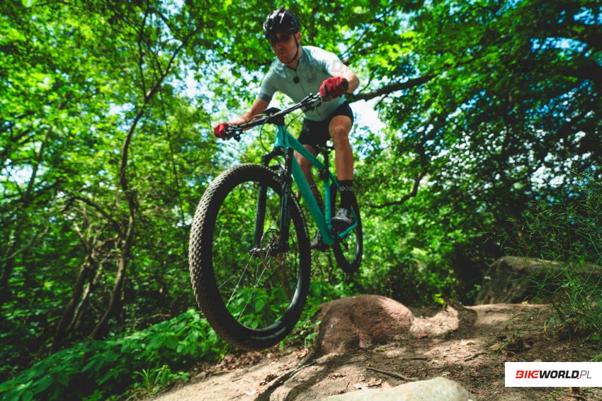 Maxxis vs CST