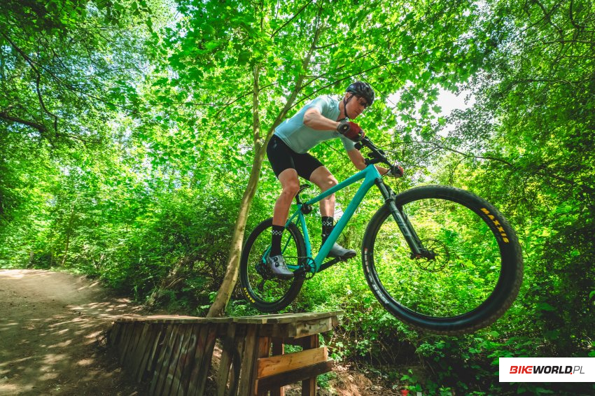 Maxxis vs CST