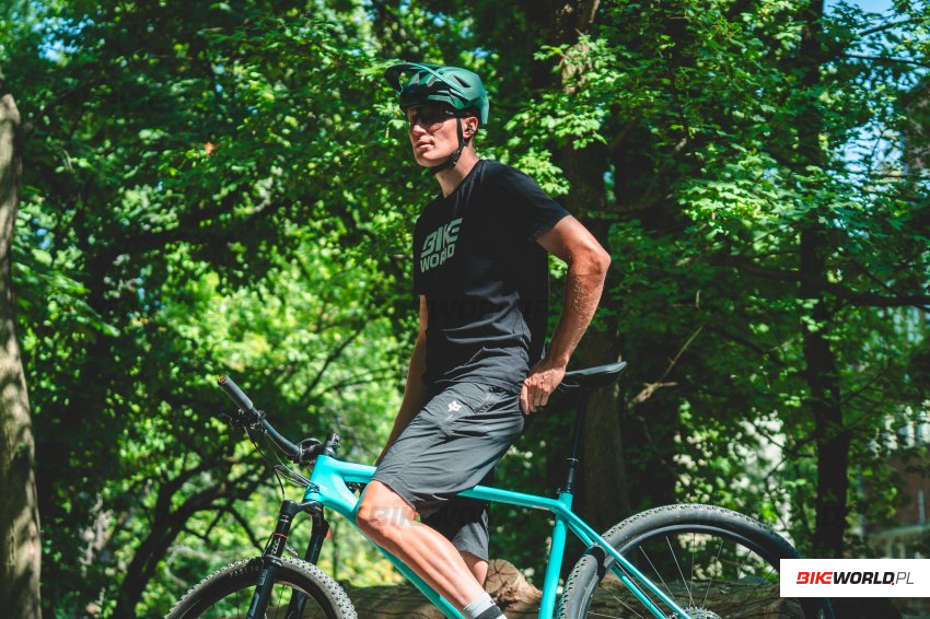 Shokz OpenDots 2