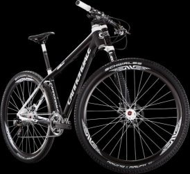 Flash 29er Carbon