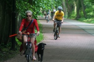 Jazda ścieżkami rowerowymi jest obowiązkowa, jeśli są wytyczone w naszym kierunku jazdy