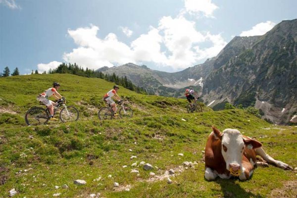 Sielskie krajobrazy to wizytówka Transalpu