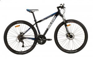 Raleigh Talus 1.0 29