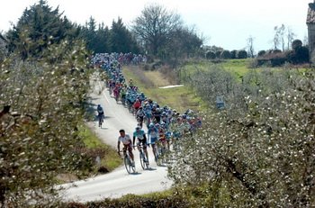 Peleton na malowniczych drogach Toskanii