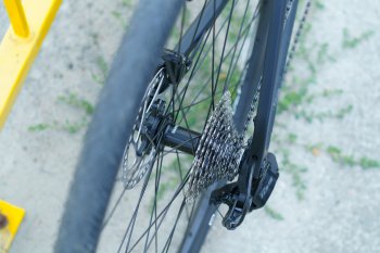 Cannondale Synapse Carbon 5 (2025)