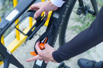 Cannondale Synapse Carbon 5 (2025)