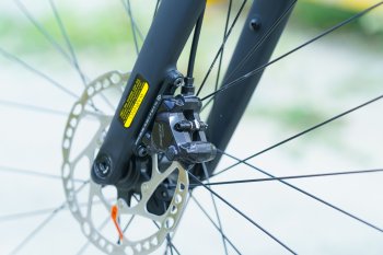 Cannondale Synapse Carbon 5 (2025)