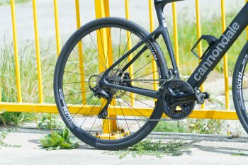 Cannondale Synapse Carbon 5 (2025)