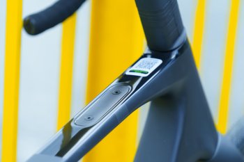 Cannondale Synapse Carbon 5 (2025)