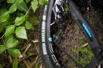 Schwalbe,Giant