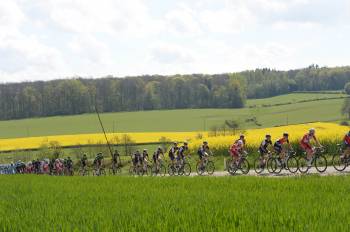 Fleche Wallonne 