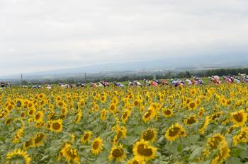 Tour de France