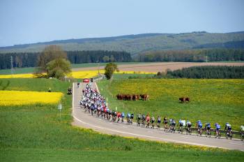 Fleche Wallonne 