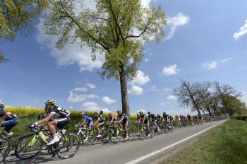 Fleche Wallonne 