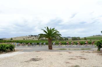 Tour Down Under