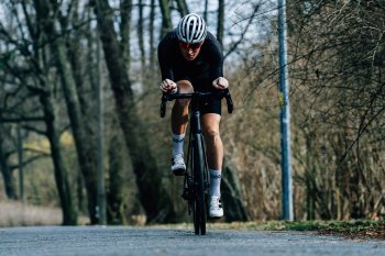 Sensa Giulia Evo Integrale Disc 105 (2025)