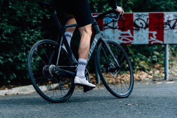 Sensa Giulia Evo Integrale Disc 105 (2025)