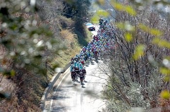 Peleton na trasie 6. etapu z Martinsicuro do Prati di Tivo