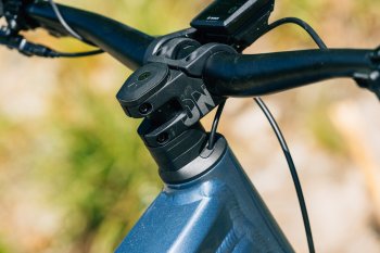 Canyon Neuron:ON AL 7